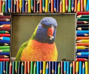 Just Checkin' In (Rainbow Lorrikeet) L 23 cm x W 18 cm $95